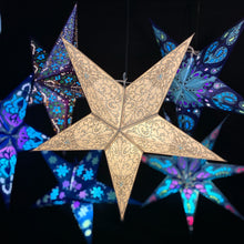 Lade das Bild in den Galerie-Viewer, Papierstern, Weihnachtsstern, Stern, Weiß, M-EWG-WS560